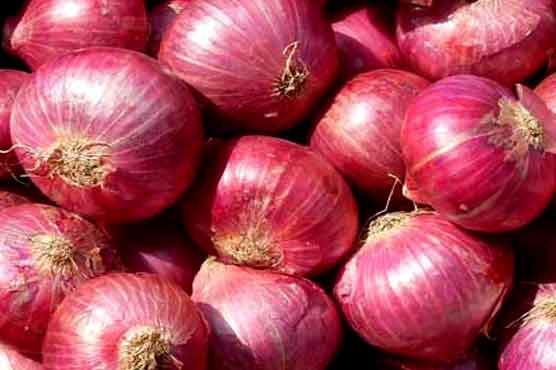 we have fresh harvest of red and yellow onion, Caliber:Contact directly, Tel,Whatsapp = email