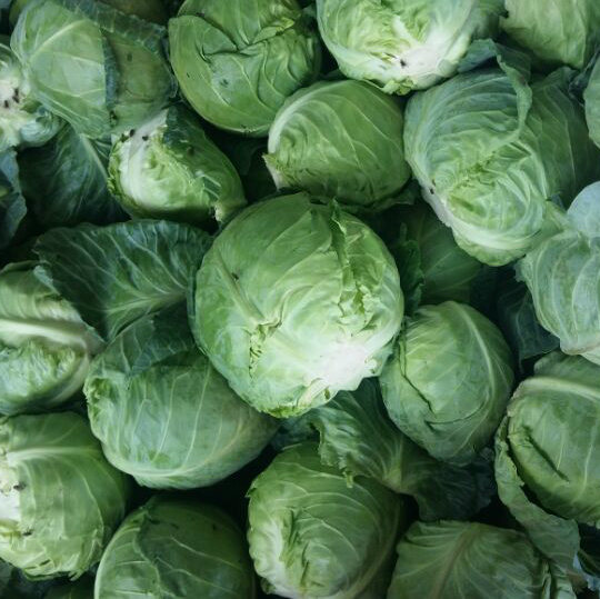 We have fresh harvest of red ,white,italian,brussel sprouts,pickled cabbage vegetable Caliber: Contact directly, Tel,Whatsapp = email