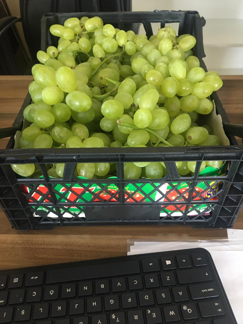 OKAZJA WYJĄTKOWA !!! Winogron jasny kaliber 20-25 ilość 75 ton Cena 3,60zł/kg - do negocjacji