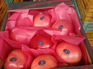 Sprzedam granat z Egiptu,karton po 5 kg,ok 20 ton