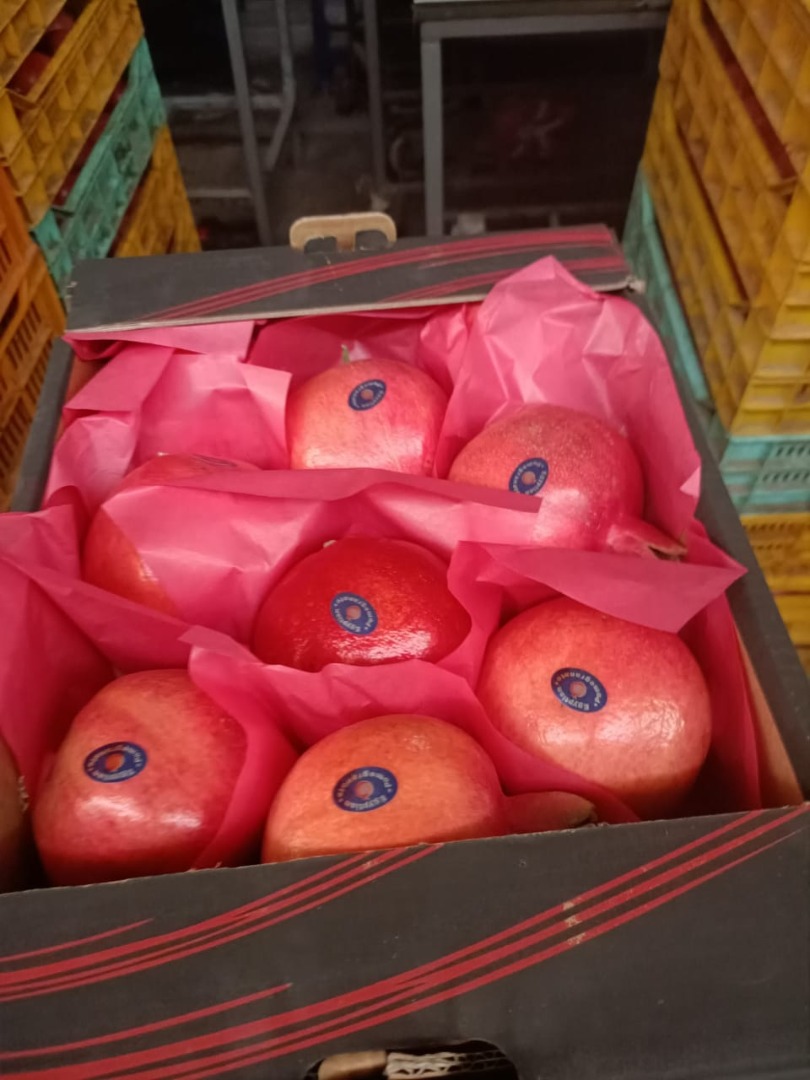 Sprzedam granat z Egiptu,karton po 5 kg,ok 20 ton bardzo słodkie,premium,zbierane ręcznie odbiór w Gdańsk lub Gdynia,cena 1$ za1 kg