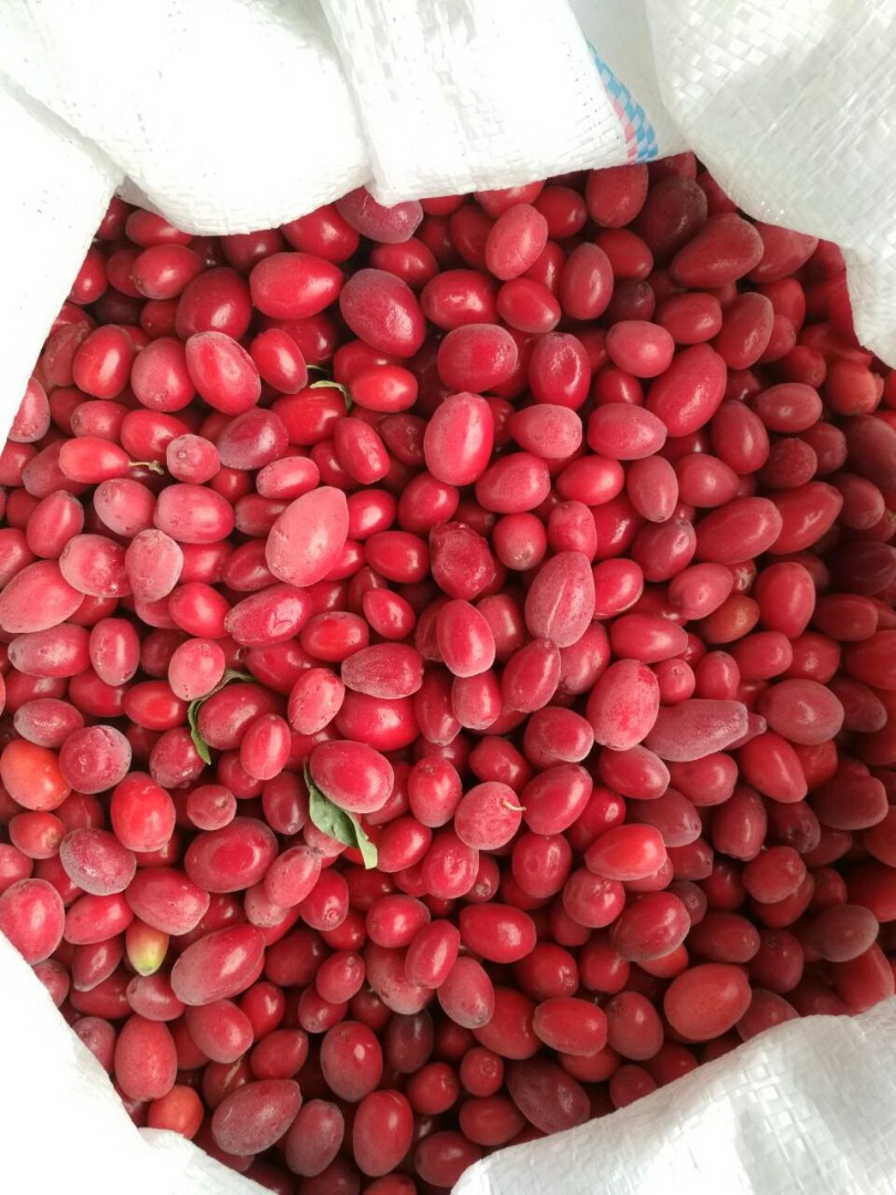 Dereń jadalny mroźony