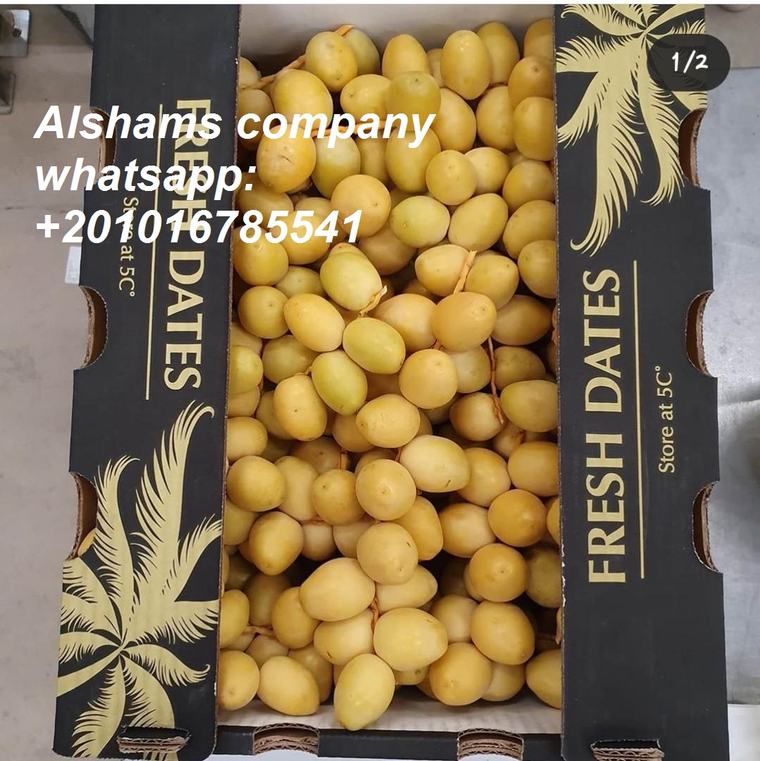 Alshams company for general import &export in EGYPT #Fresh_dates ● we can Delivery your request for any country ● Grade A ● for Orders please send your message