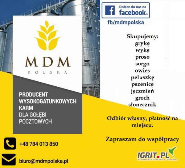 Kupie grykę