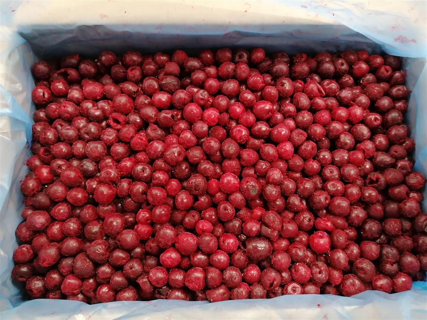 Wiśnia mrożona bez pestki Odbiór z Bolimowa (województwo łódzkie) lub dostawa za opłatą Cherry pitted, frozen Pickup in Bolimów (Poland) or delivery for a fee