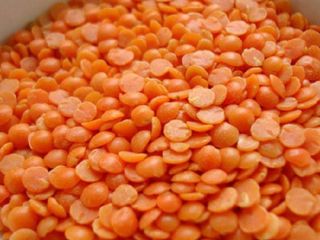 Red Split Lentils Shelf life: 24 months Specification: Moisture