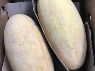 Dzień dobry mam na sprzedaż Melon kraj pochodzenia Uzbekistan
