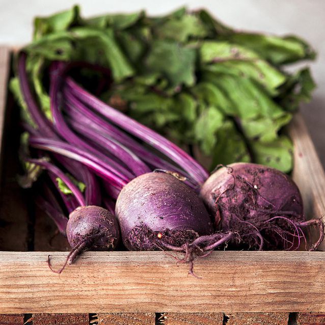 I will sell and market very large quantities of Beet Root
