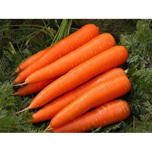 I will sell and market very large quantities of healthy carrots
