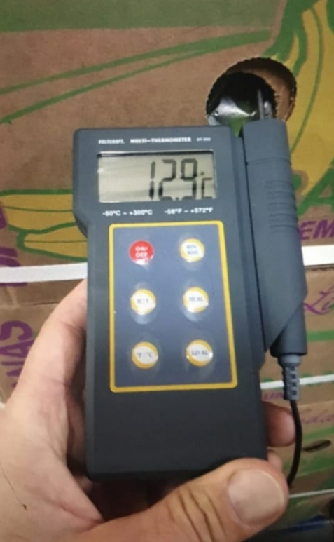 Sprzedam banany zielone, ekwadrorskie w klasie PREMIUM
