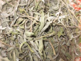 Salvia officinalis-szypułka, luzem. Zbiory-2020