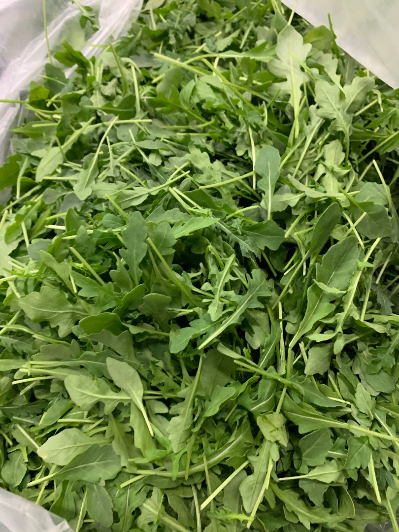 Świeża rukola, prosto z fabrycznego pudełka 4,5kg