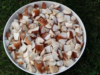 Witam. Sprzedam suszone borowiki. Cena za 10 dag =