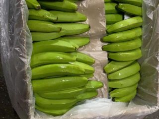 CAVENDISH VALERY-BANANA, 80 000 kg, Wiedeń