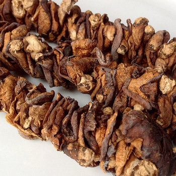 Nazwa produktu Zdrowy naturalny grzyb Ganoderma lucidum dla zdrowia ludzkiego Wygląd jak parasol Kształt Podanie Jedzenie, produkty zdrowotne, medycyna Funkcje