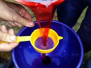 Muszę sprzedać Muscat Ottonel, Merlot i Musztarda Winogrona oraz