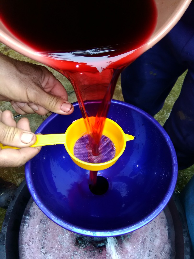 Muszę sprzedać Muscat Ottonel, Merlot i Musztarda Winogrona oraz Zegary w dużych i małych ilościach Aby uzyskać informacje, zadzwoń do mnie