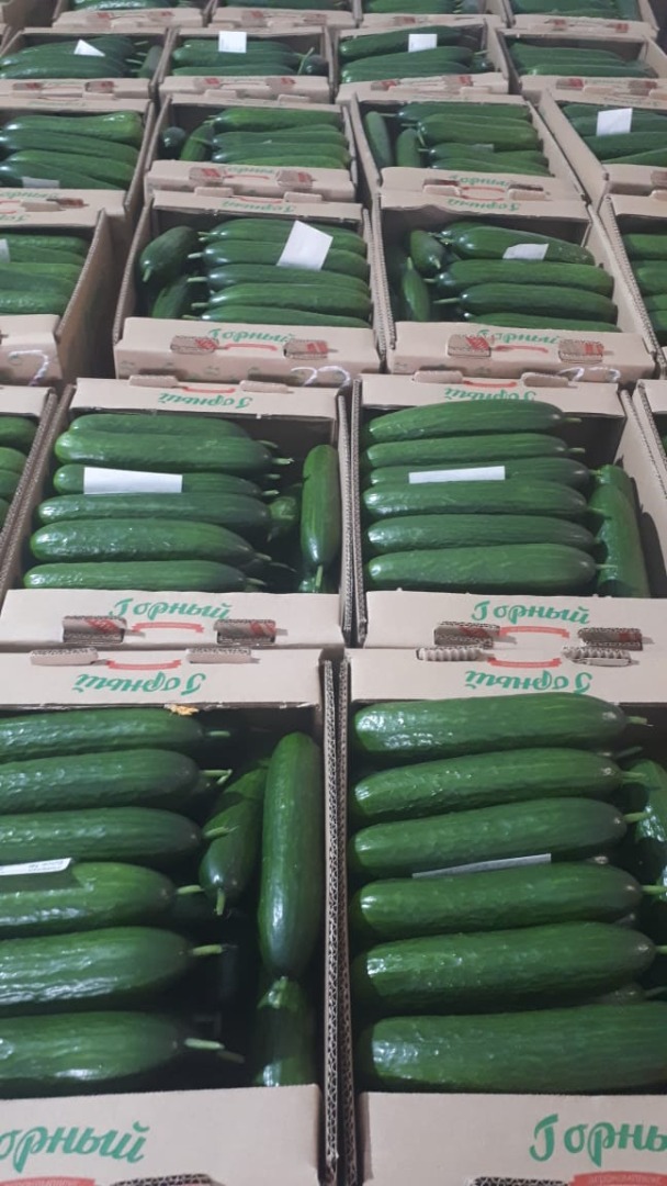 Świeży ogórek, Odmiana "Meva" pierwsza kategoria