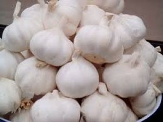 Natural Healthy Premium Organic Seed Normal White Garlic Fresh.