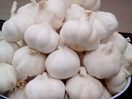 Natural Healthy Premium Organic Seed Normal White Garlic Fresh