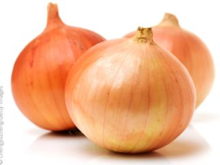 Fresh harvest of red and yellow onion available for
