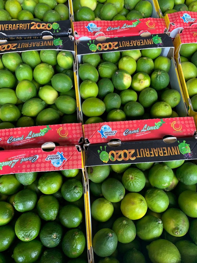 Limonka 4kg cena zależne od sytuacji na rynku Holederskim i ilości.wiecej informacji telefonicznie Posiadamy szeroki asortyment Zajmujemy się importem świeżych
