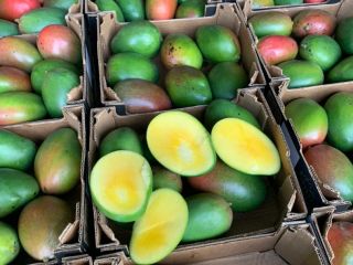 Mango 4kg 28 zł karton cena zależne od sytuacji
