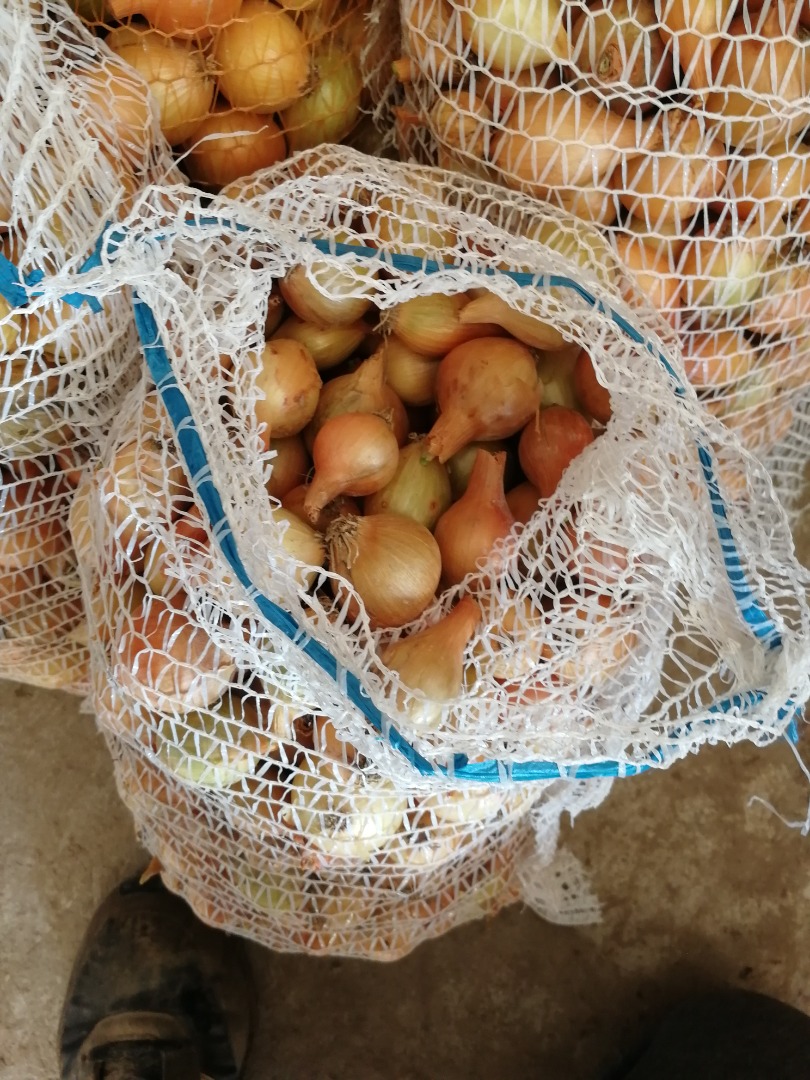 Witam, mam do sprzedania żółtą cebulę odmiana rumba z ręcznego zbioru i sortowania