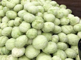 1kg-1,8kg / kapusta
