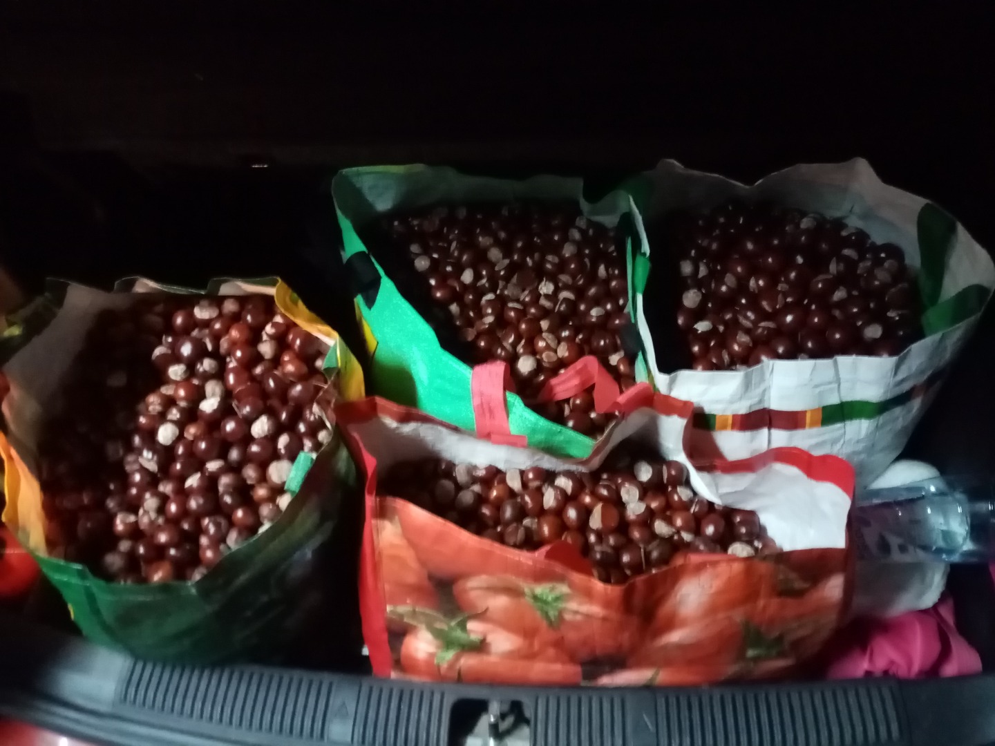 Witam zostało mi na sprzedaż ponad 100 kg kasztana cena 80zl za całość