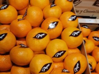 Sprzedam pomarańczę i mandarynkę z Hiszpanii. Towar bezpośrednio od