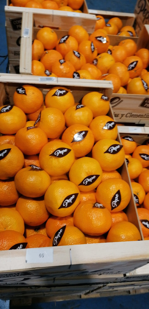 Sprzedam pomarańczę i mandarynkę z Hiszpanii