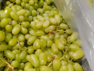 Do sprzedania winogrona , 15 k. pochodzenie Grecja ,