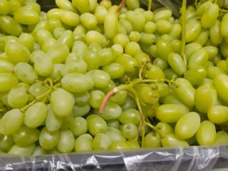Pilnie -Do sprzedania winogrona bez pestki ,15 kal. w