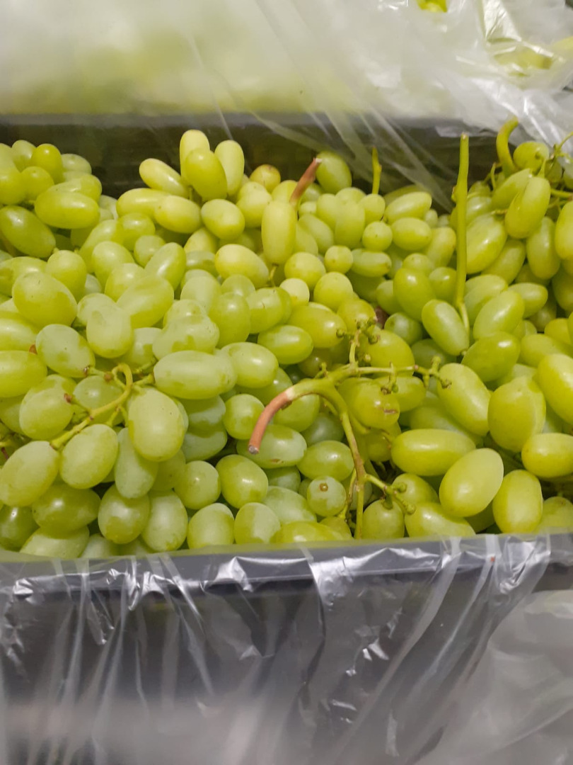Pilnie -Do sprzedania winogrona bez pestki ,15 kal