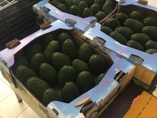 Avocado Hass, Cal , Cat.1 Origin Michoacan and Jalisco,