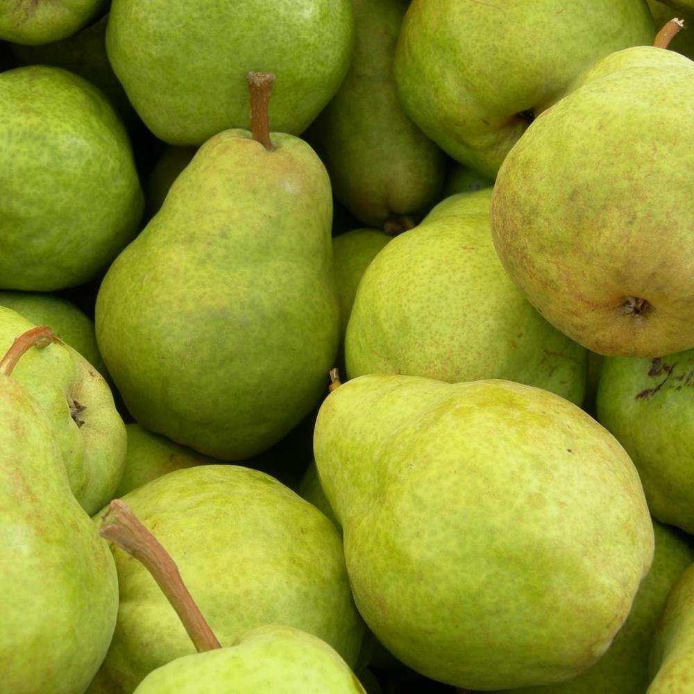 1> 5kg / CTN dla rozmiaru: 12,14,16,18,20 i 22 2> 9kg / CTN dla rozmiaru: 24,28,32,36,40 i 44 3> 10kg / CTN dla rozmiaru: 24,28, 32,36,40 i 44 4> 15kg / CTN