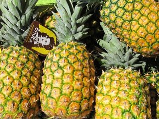 świeży ananas od bezpośredniego dostawcy