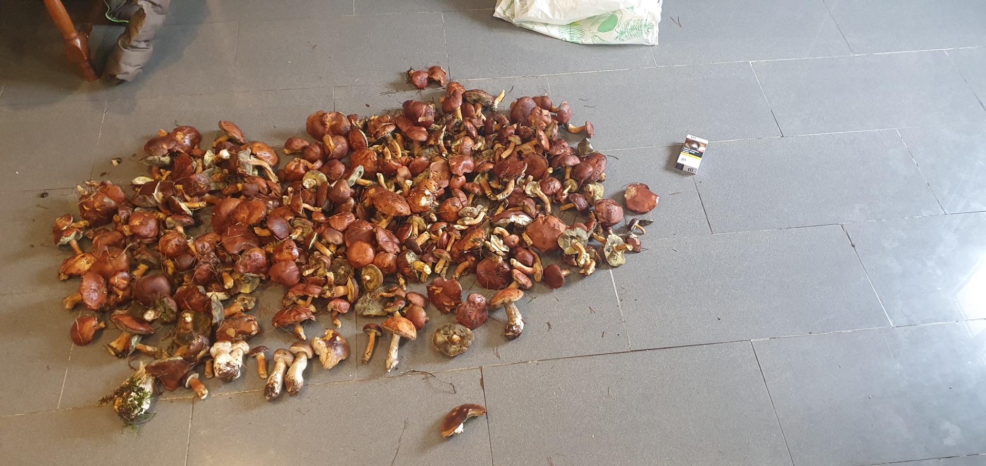 Sprzedam suszone grzyby podgrzybki zbierane w tym sezonie bez robaków posiadam ponad 10kg i sprzedam tanio tak żeby 2 strony byly zadowolone