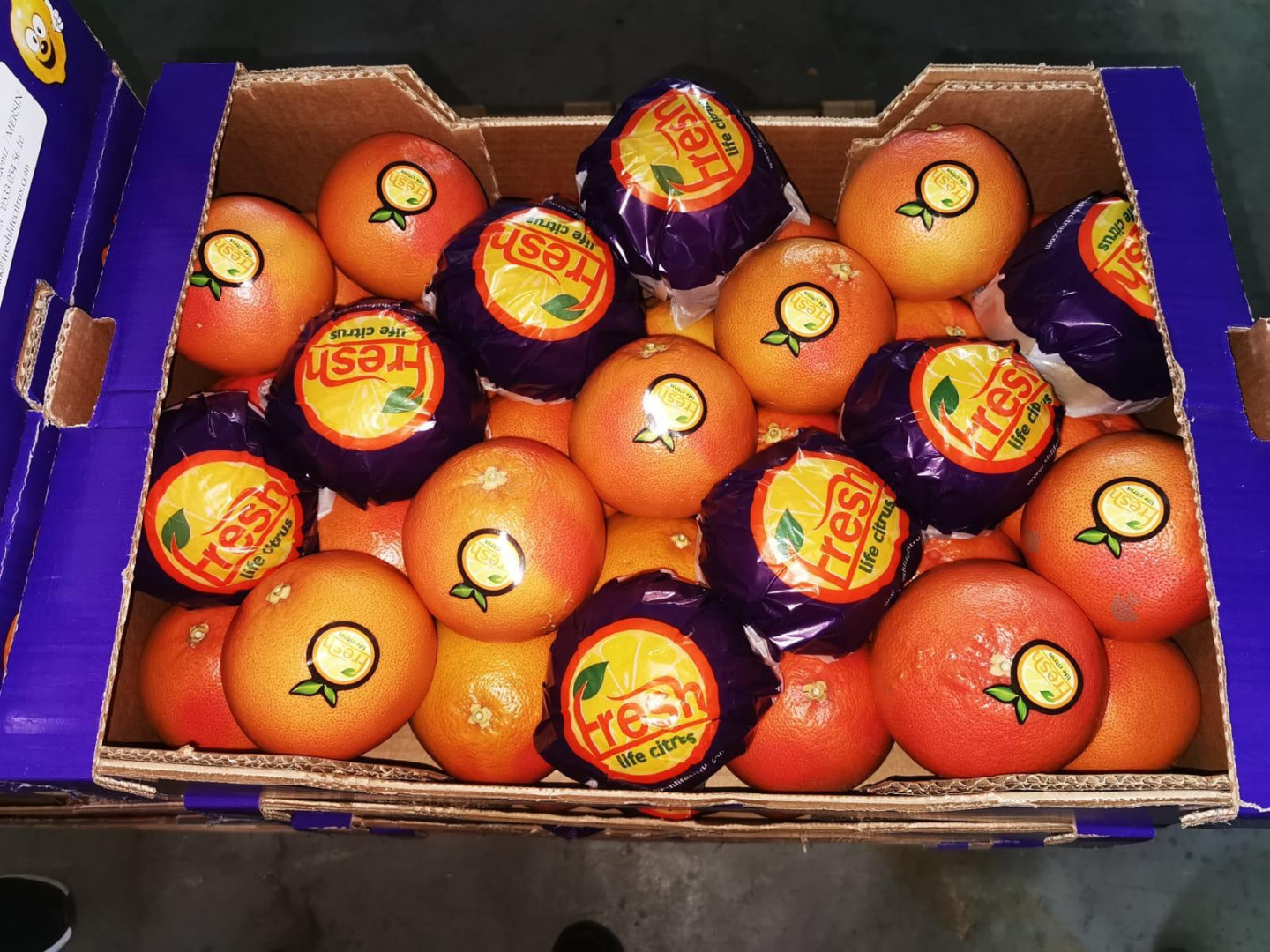 Zapraszamy do zakupów czerwonego grejpfruta , pochodzenie Turcja , Cena 4,6 netto/kg
