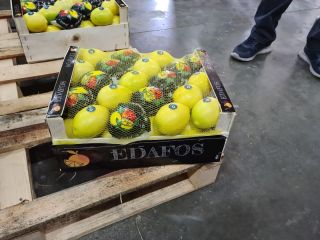 Dzien dobry Cytryna Majer 66 kaliber i wyżej mam