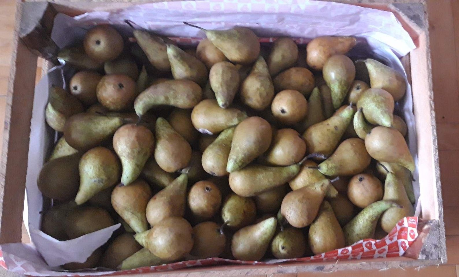 W sprzedaży posiadamy gruszki od producenta