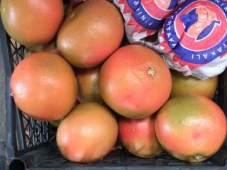 продажа грейпфрута из Турции Доставка прямо со склада. для