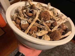 Dostępne magiczne grzyby Złoty nauczyciel Albino Penis zazdrości Wickr