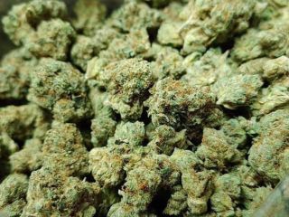 Dostępna marihuana medyczna zbyt wysokiej jakości Wickr .... califo20
