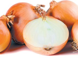 1 RON / kg - cebula żółta 2 RON