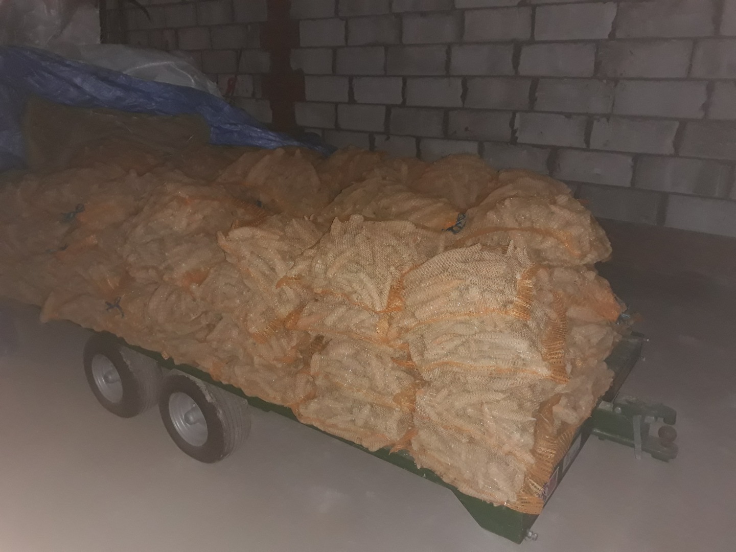 Mam do sprzedania świeżą marchew, która jest spakowana w worki po 10 kg