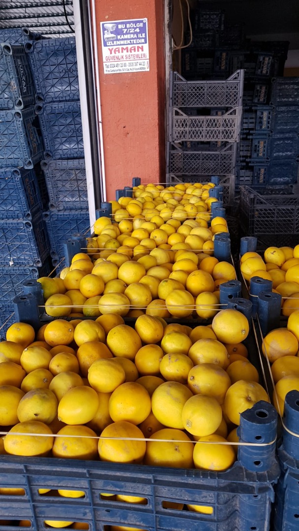 Продажа тоннами фруктов 3 качества для производства соков или базара