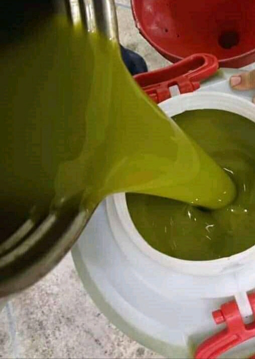 Mam 10 ton oliwy z oliwek